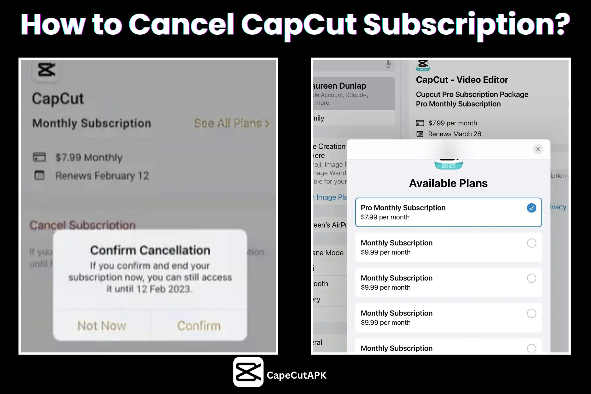 How to Cancel CapCut Subscription? Of Ste Image Feature