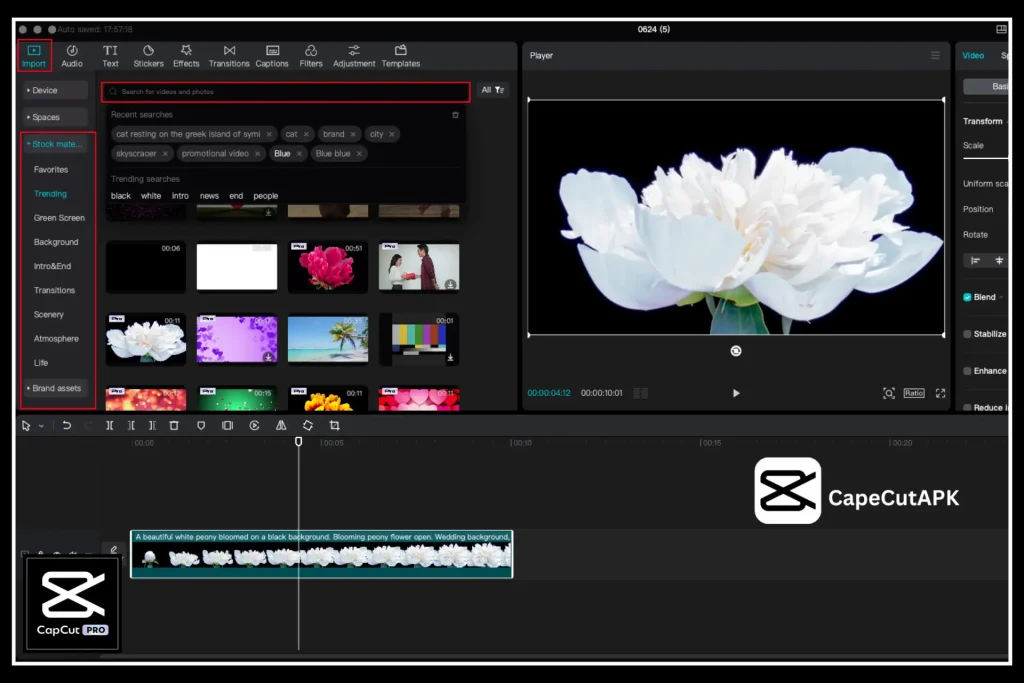 Pro Stock Media Library in CapCut