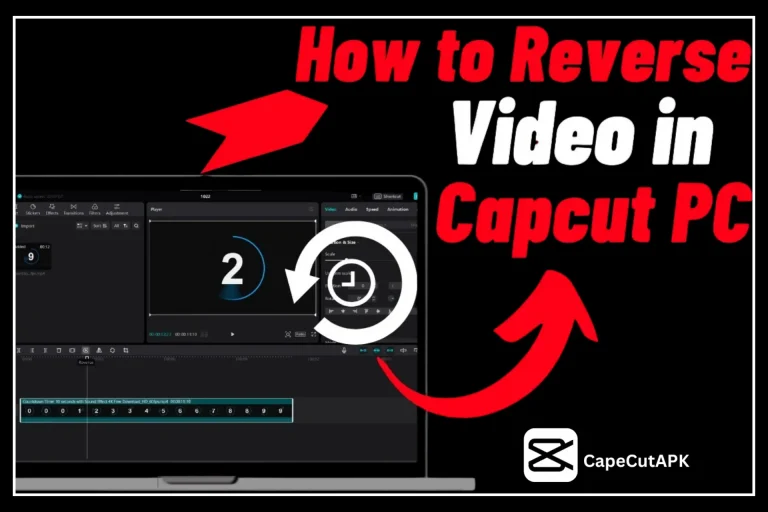 Reverse a Video in CapCut PC