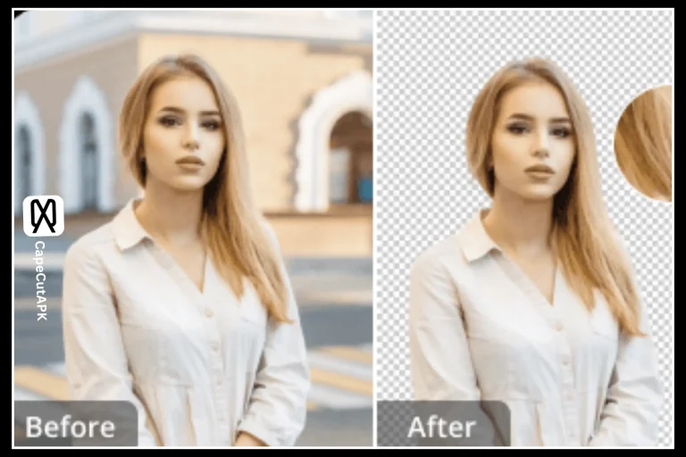  Remove Image Background in CapCut​ Pro