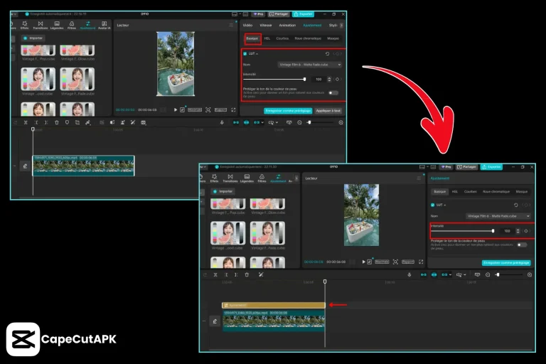 Add LUTs in Capcut In PC