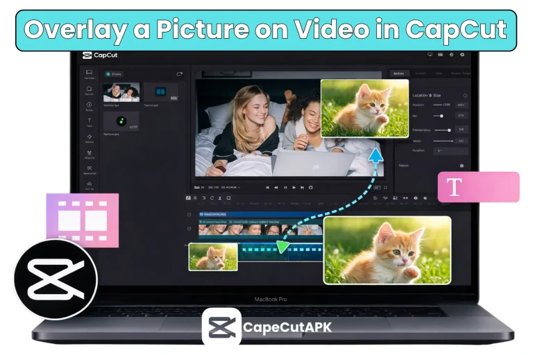 How to Overlay a Picture on a Video in CapCut